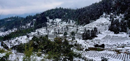 tuyetroi