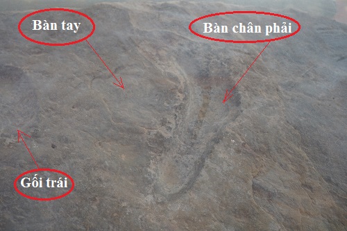 vien_da_luu_dau_ban_chan_phai_goi_chan_trai_va_hinh_ban_tay_cua_ba_dinh_thi_den_khi_sinh_ha_thanh_tan_vien
