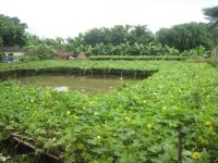 NƠI  VĨNH HẰNG CỦA DŨNG SĨ PHÁ BOM