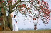 THƠ VIẾT CHO THIẾU NHI...