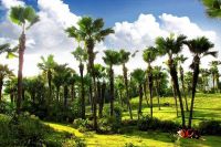 CHÙM THƠ VĂN SĨ PHÚ THỌ