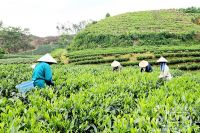 NGƯỜI ĐÀN BÀ HÁT RU