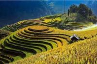 CHÙM THƠ LƯU BÁ THỊNH