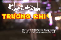 KHỐI TÌNH TRƯƠNG CHI