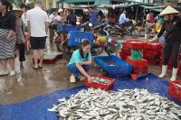 MỘT THOÁNG VUI BUỒN