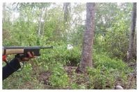 SÚNG NỔ CỬA RỪNG