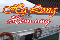 HẠ LONG HÔM NAY
