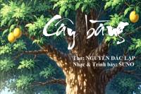 CÂY BÀNG