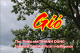 GIÓ