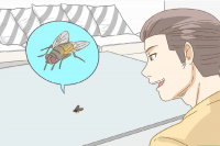 NGƯỜI BẮT RUỒI