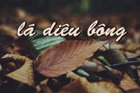 DIÊU BÔNG