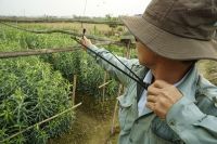 TRUYỆN NGẮN ĐẦU TAY