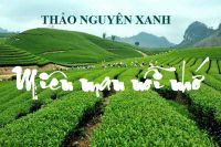 MIÊN MAN - CAO NGUYÊN XANH