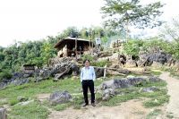 CẢM NHẬN THƠ PHAN HOÀNG