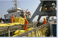 MẶT TRỜI DƯỚI LÒNG SÔNG